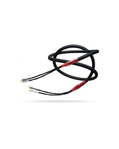 Gutwire Congruence 3 Speaker Cable