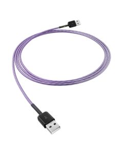 Purple Flare 2.0 USB Cable