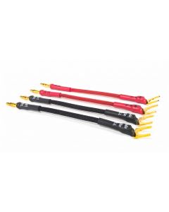 Apollo Speaker Link (Set of 4) 