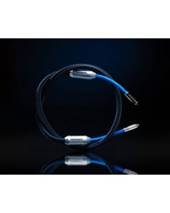 Siltech Cables Classic Legend 880i Interconnect