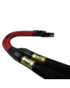 Master Statement Gold Interconnect (Pair)
