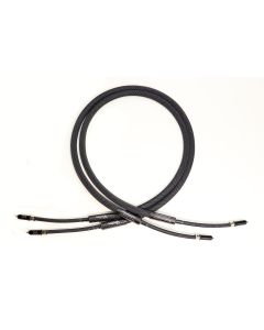 Stradivarius Amati Edition RCA Interconnect (Pair)