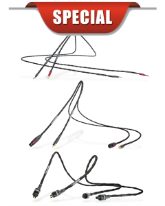 Synergistic Research Foundation SX December Special